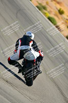 media/Oct-24-2025-2WTD (Fri) [[491f36c2bf]]/C Group/Session 3 (Turn 5)/